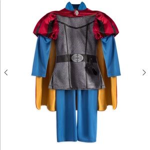 Sleeping Beauty- Prince Phillip Costume
